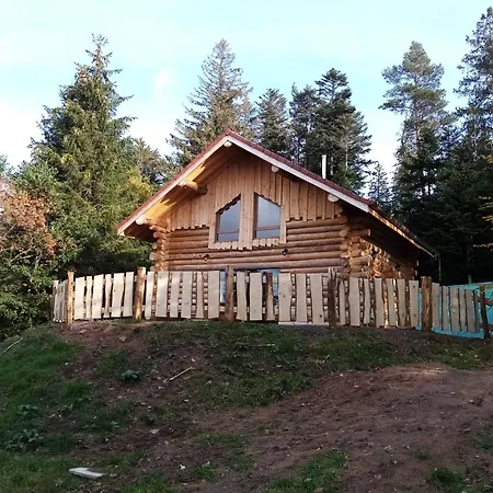 Chalet Les Rondins Du Bois D'eden - 8p Anould