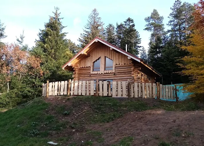 Chalet Les Rondins Du Bois D'eden - 8p Anould