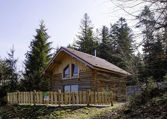 Les Rondins Du Bois D'eden - 8p *